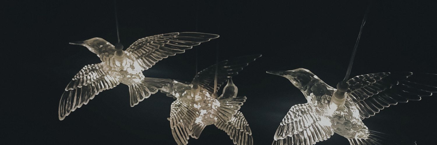 erurium's profile banner image