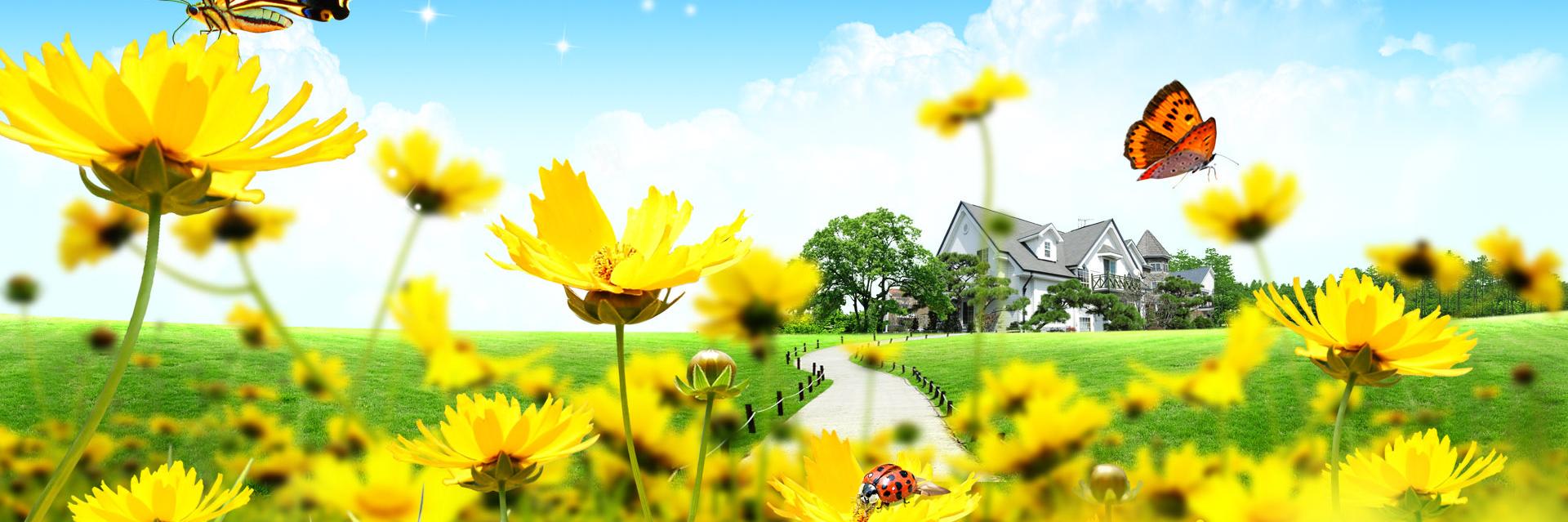 green_balloon's profile banner image