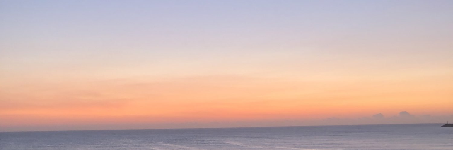 ZanardiVictoria's profile banner image