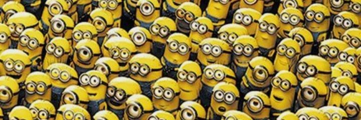Berenice Rogerio banner