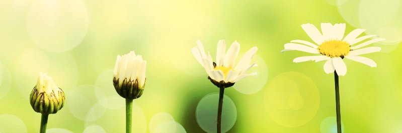defytheaverage's profile banner image