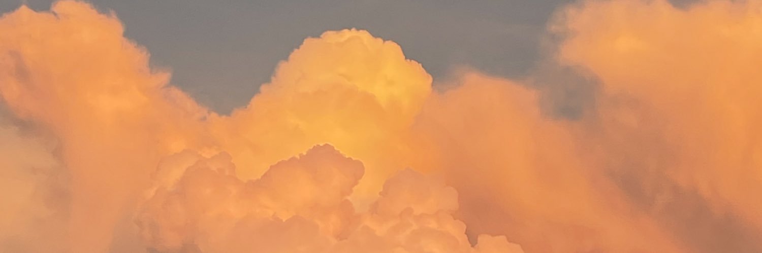 danitellechea's profile banner image