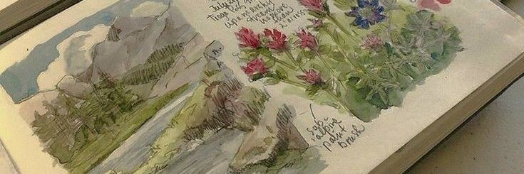 pipit's banner