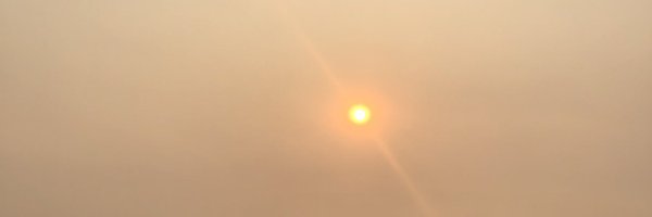 neuroayogi Profile Banner