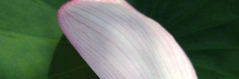 HALKA0616's profile banner image