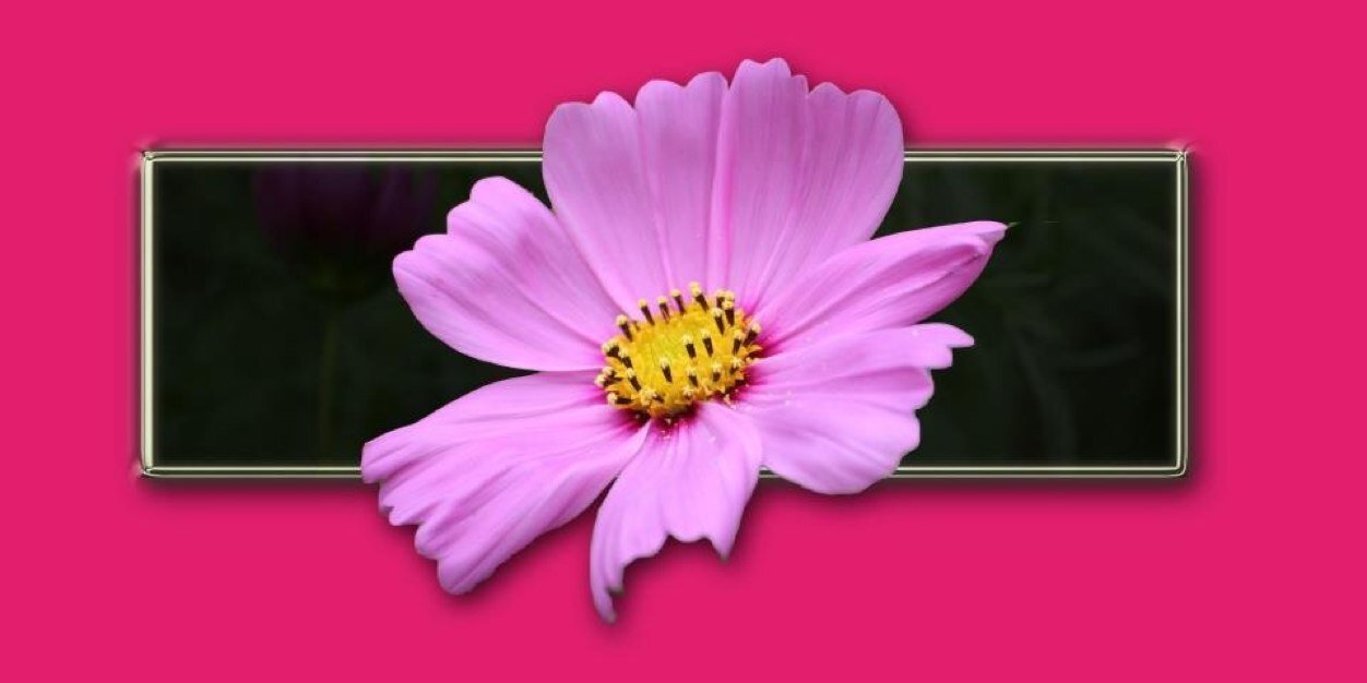 treavaalyia's profile banner image