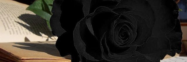 nurmalamala23's profile banner image