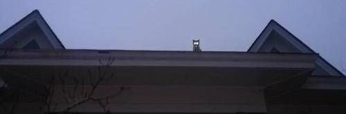 Goonawan Moh Amat banner