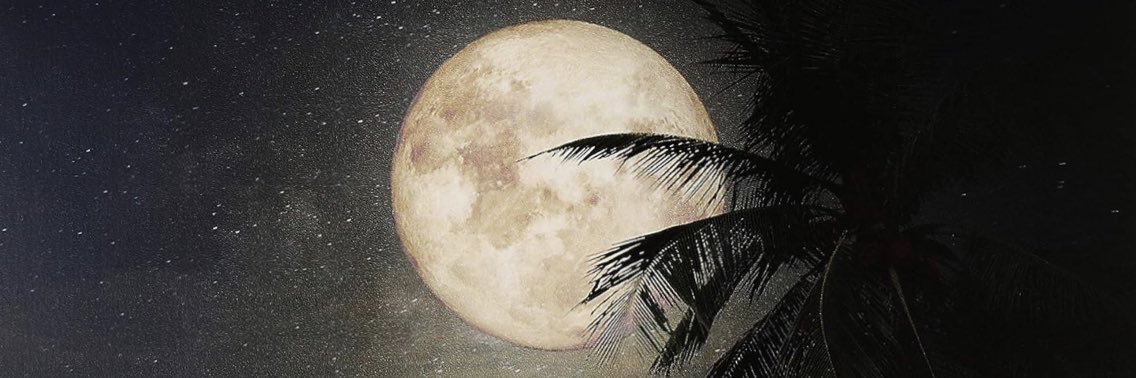 ابن البلد banner