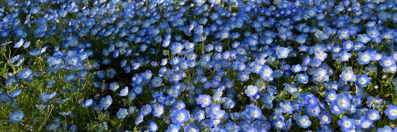 dearh_t's profile banner image