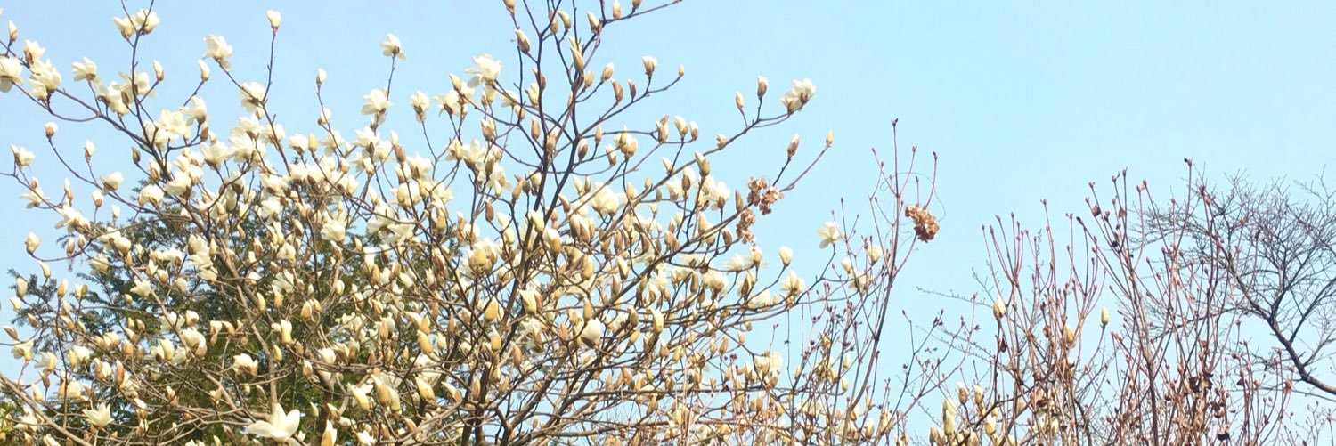 sherlyncheng's profile banner image