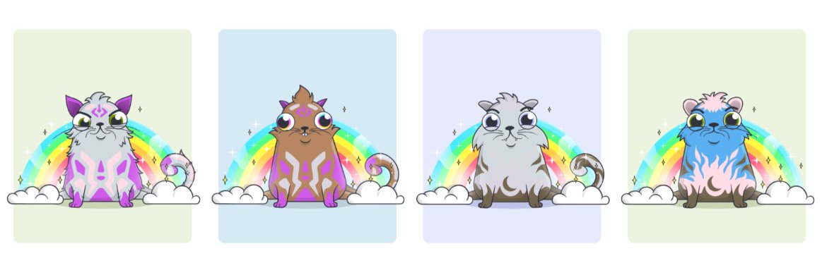 Kitty City banner