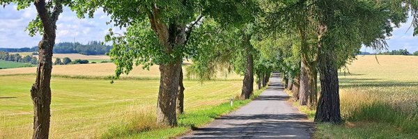 dusek_libor Profile Banner