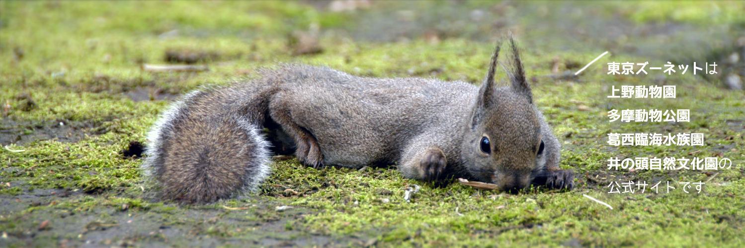 東京ズーネット［公式］ banner