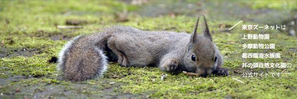 TokyoZooNet_PR Profile Banner