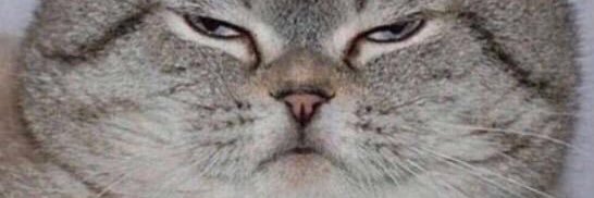 phiphideale's profile banner image