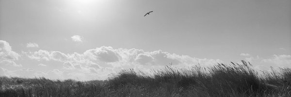 DeathMetalNest Profile Banner
