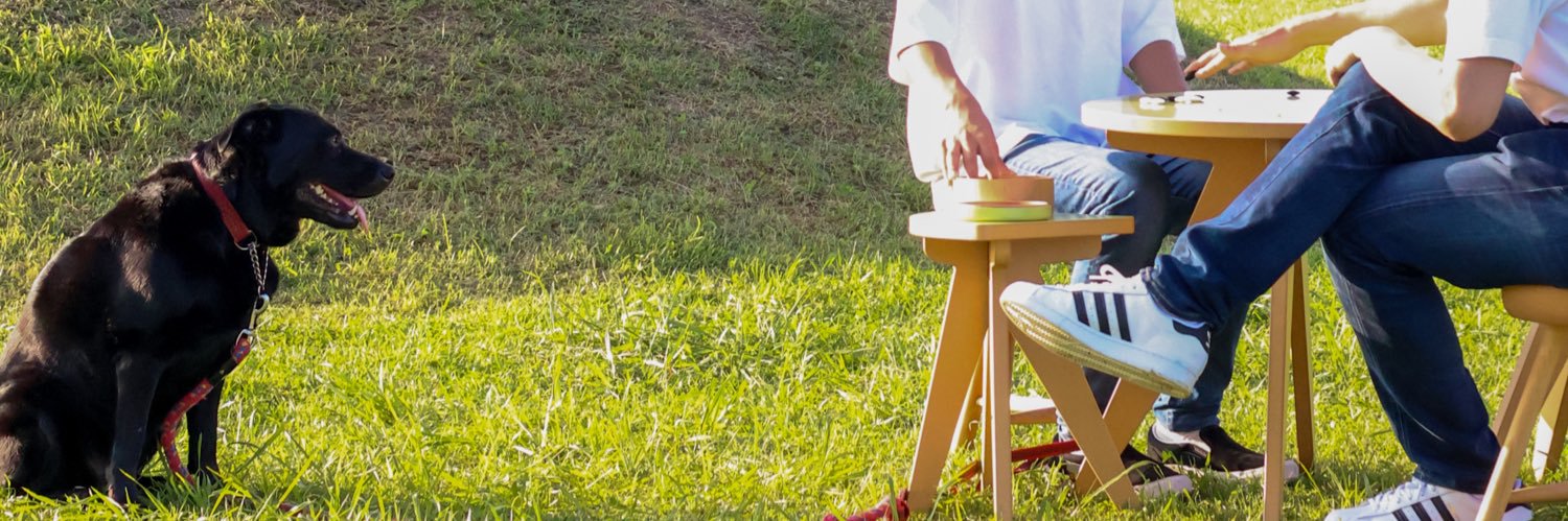 ゴミ拾い犬レイちゃん banner