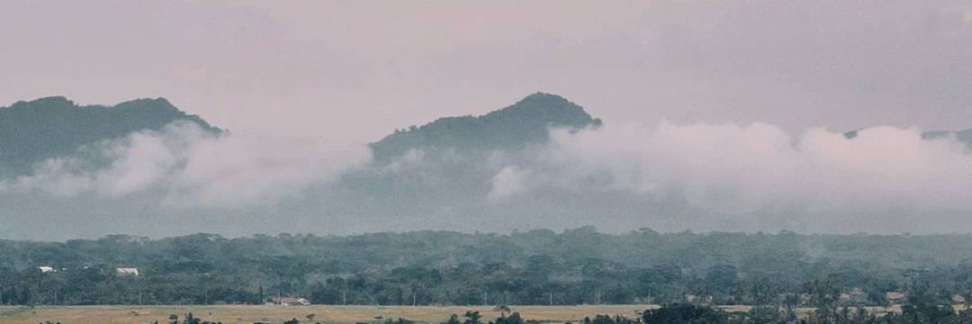 reggimylland's profile banner image