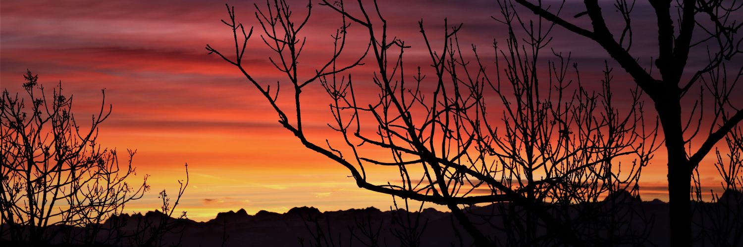 CMFM9's profile banner image