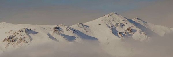 ShifaNb94 Profile Banner