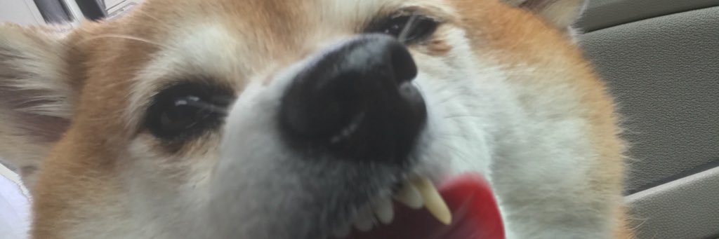 uglysae's profile banner image