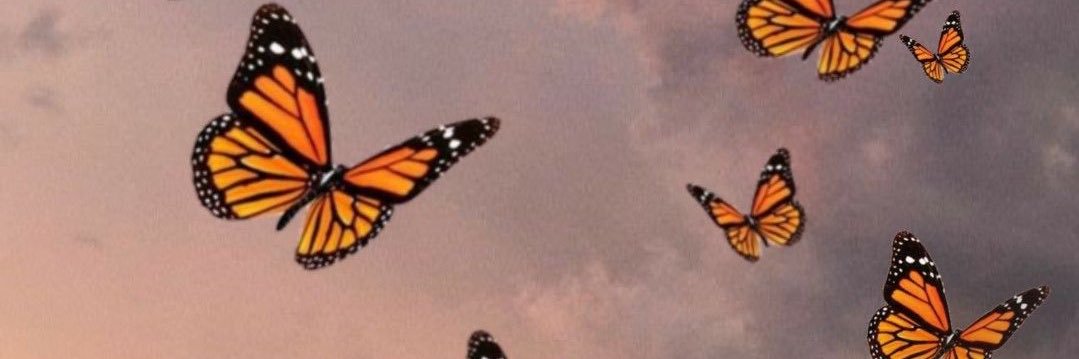dfw_asanti's profile banner image