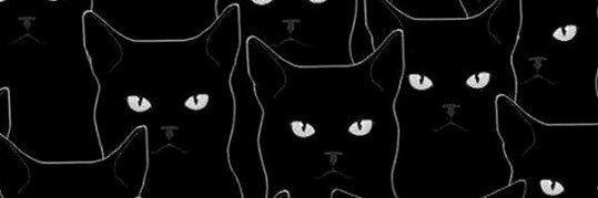 biarrytz's profile banner image