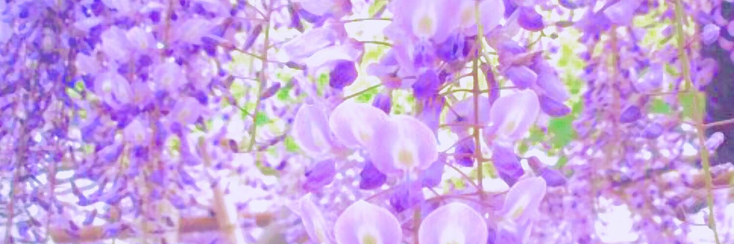やすっぺ（ Σ 。) (@micsyasue) / Posts / X