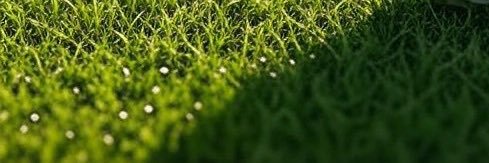 Art banner