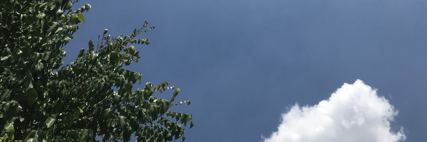 🦭 banner