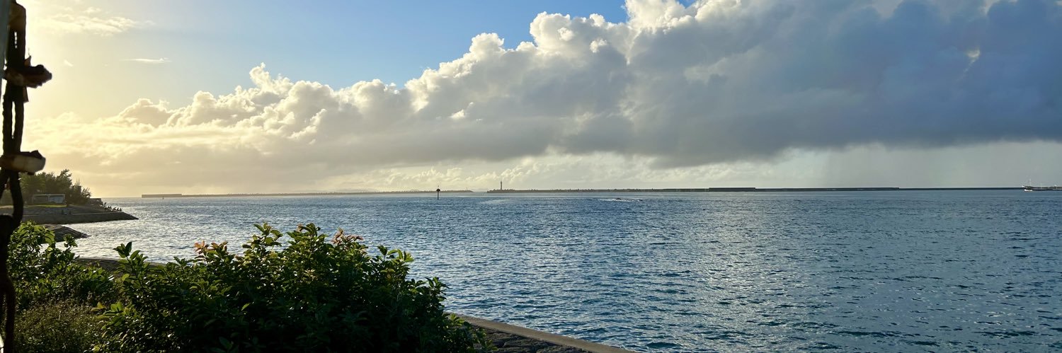 bluewave1173's profile banner image