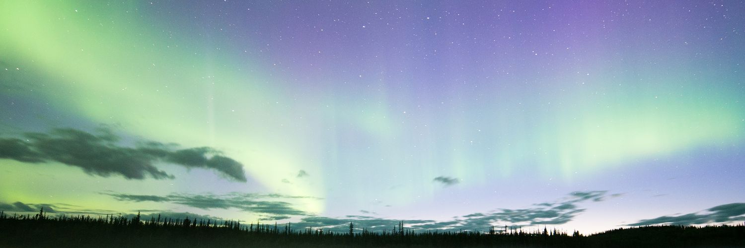 mikkiyi's profile banner image