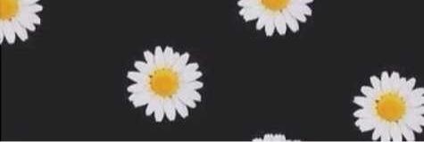 maikaronika's profile banner image