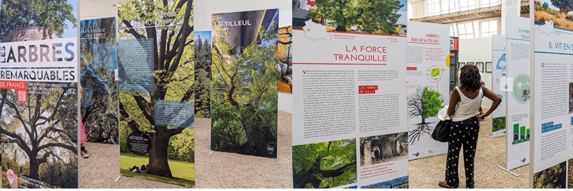 Synops Editions banner