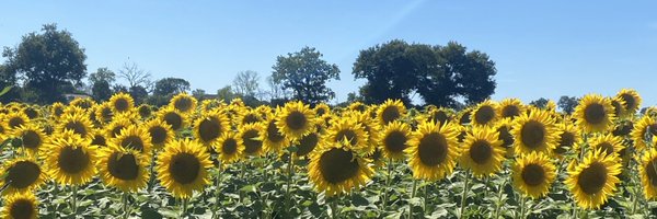 clairthomson471 Profile Banner