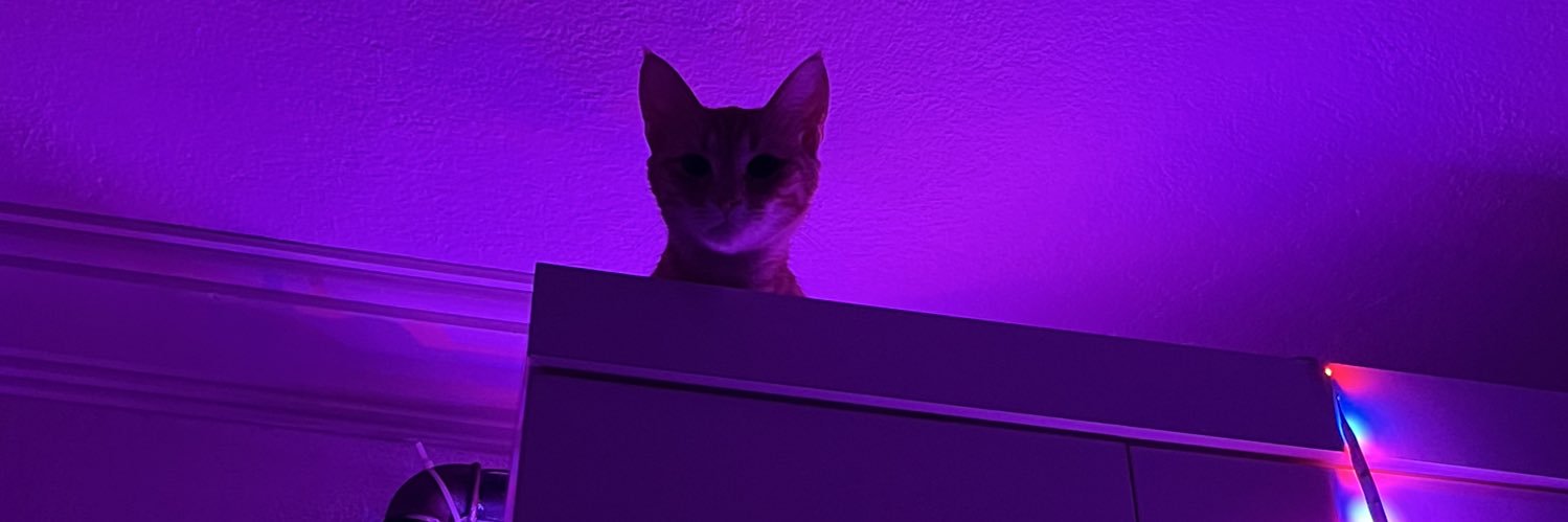 AASengul7's profile banner image