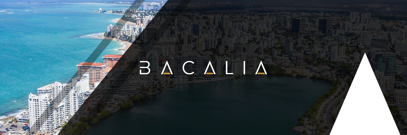 Bacalia Group banner