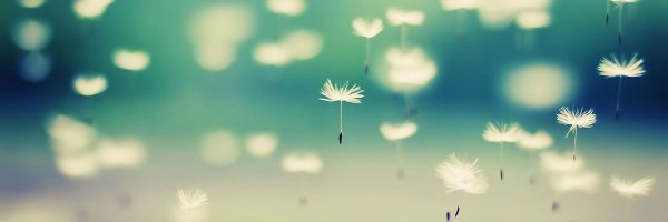 BuddhiByM Profile Banner