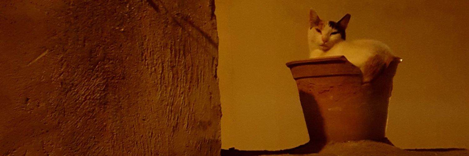JDihere's profile banner image