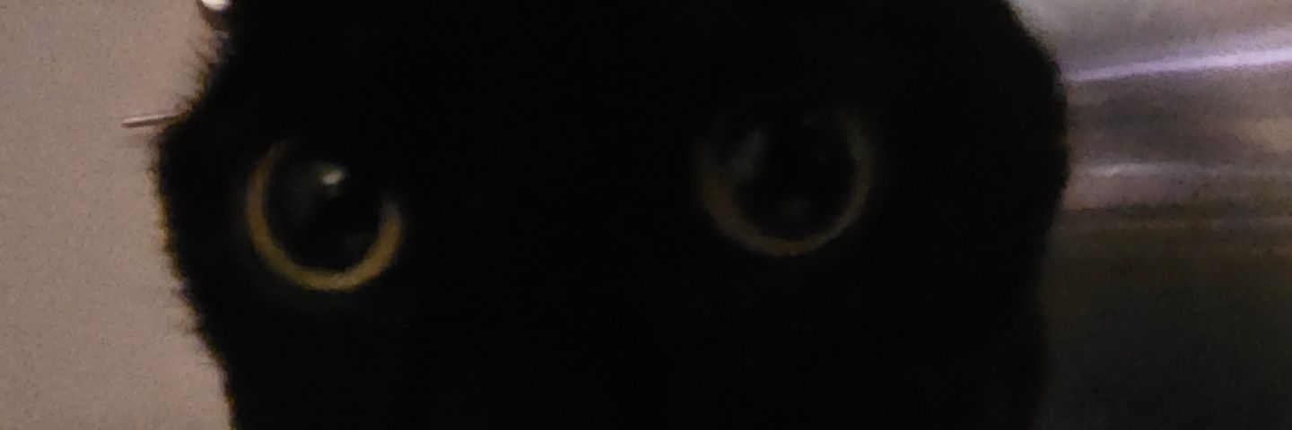 Xenon's banner