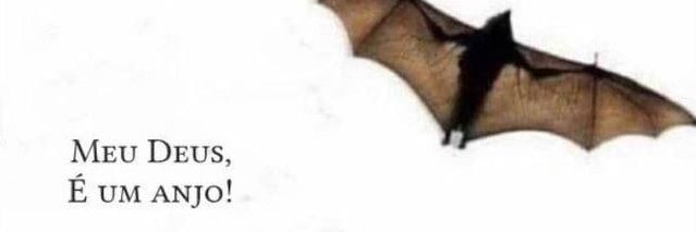 nuit⁷⛥ banner
