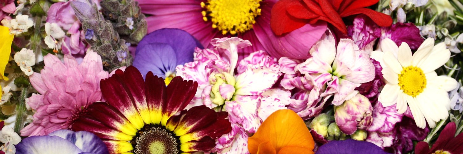 LaDaylaDa's profile banner image