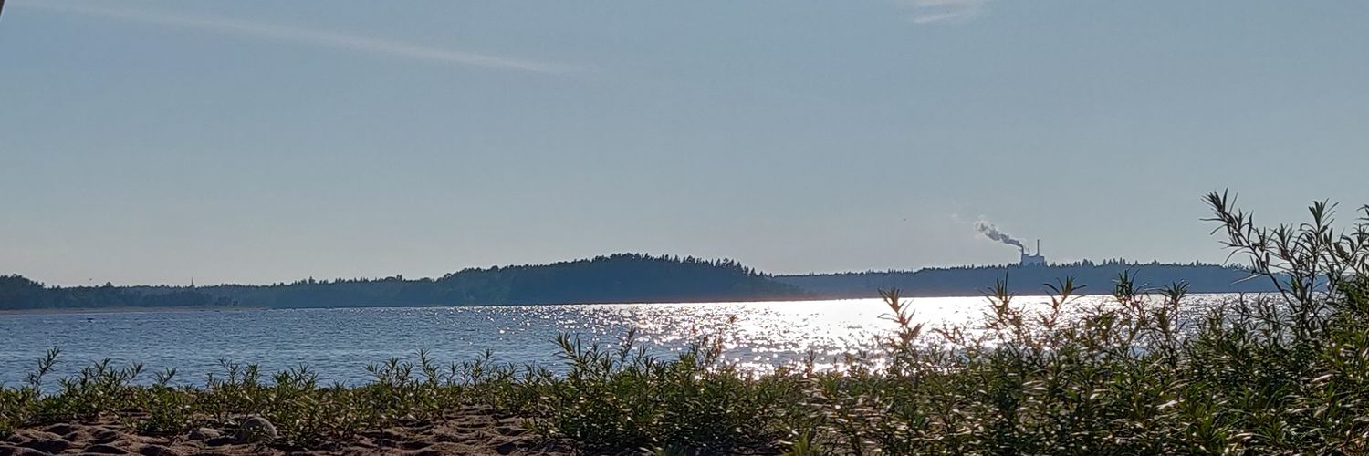 SwedishDude93 banner