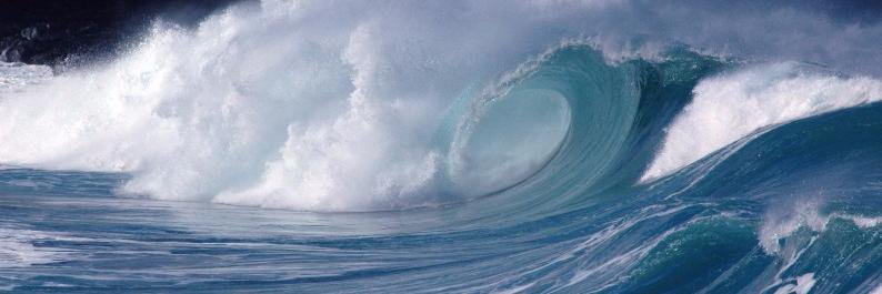 britney444's profile banner image