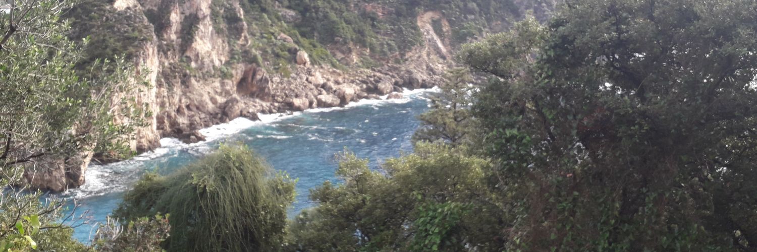 Γρηγορίου Ι. banner