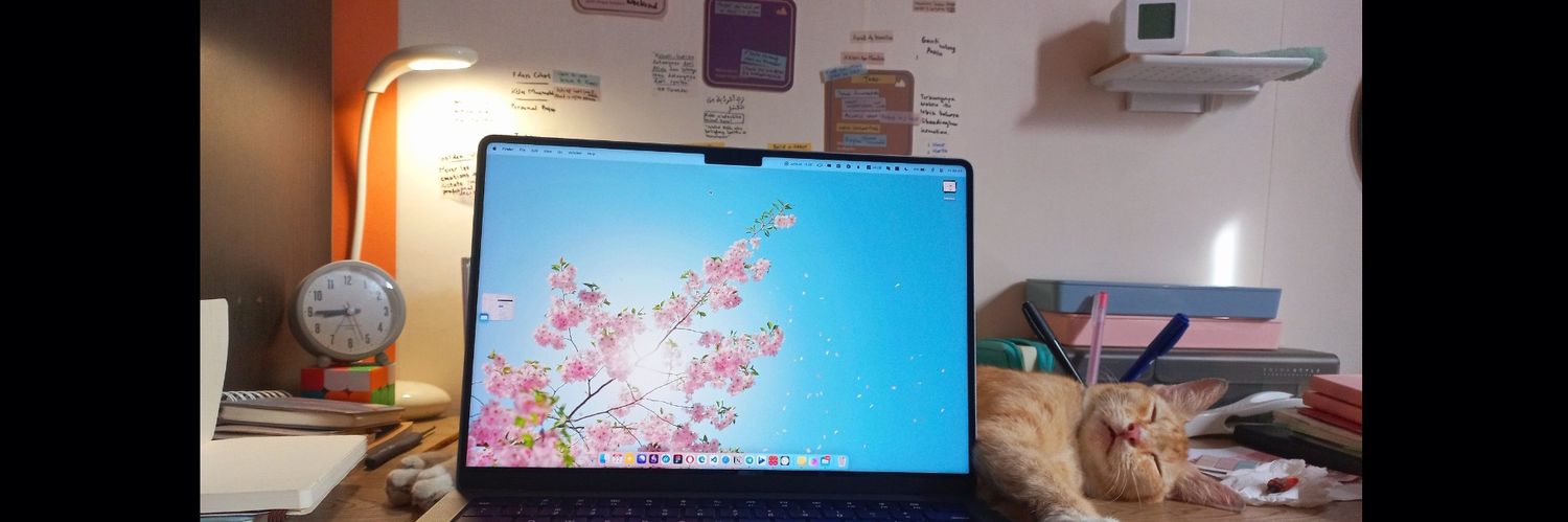 nurulide's profile banner image