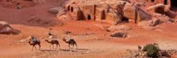 almahri190's profile banner image