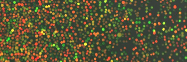 amycfanphd Profile Banner