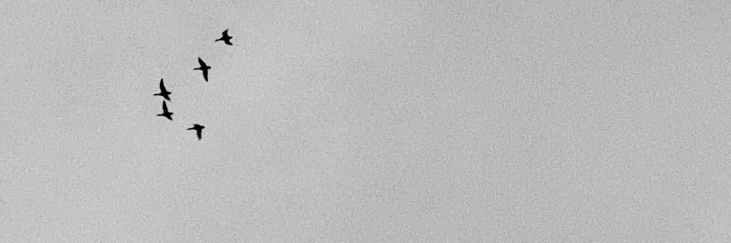 refiloe_Q's profile banner image